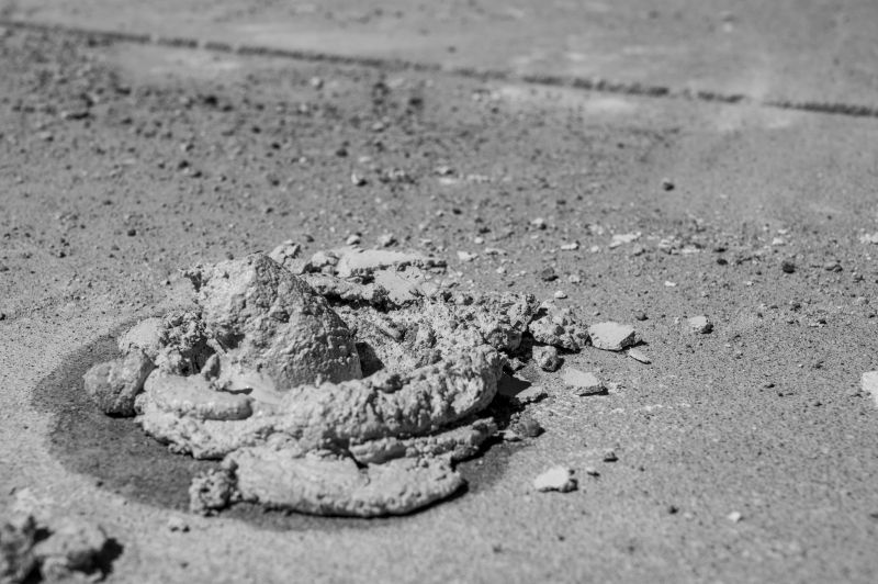 Increase Your Shrub Trimming Business with an AI Driven, Targeted Website