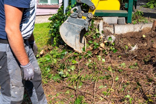 Hedge Removal Service in Santa Fe