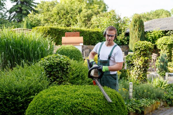Shrubs Trimming in Santa Fe