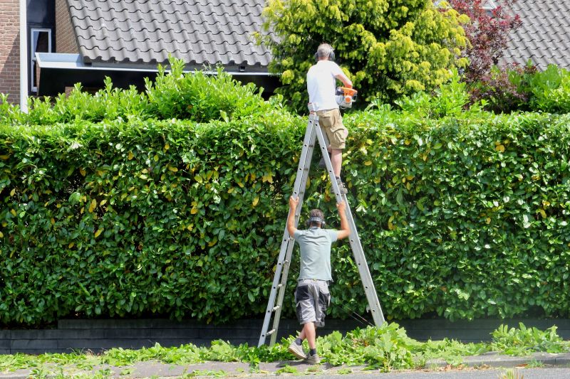 Evergreen Hedge Trimming