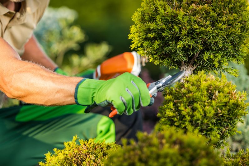 Customized shrub care plans.